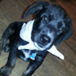 Meet your Posher, Jaime